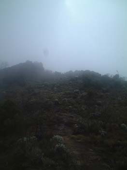 DSCF0068
