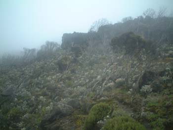DSCF0071