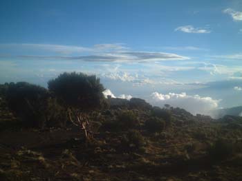 DSCF0074