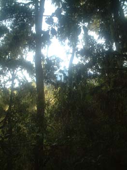DSCF0113