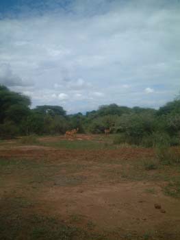 DSCF0134