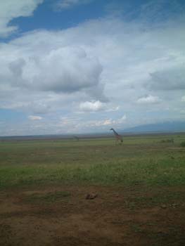 DSCF0136