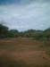 DSCF0134